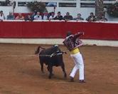 Un cart de Gontran Mouchet