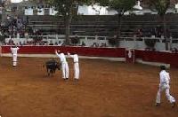 Sauts, successivement : Denis Coll (pieds joints) suivi de Guillaume Vergonzeanne et Laurent Martinez (sauts de l'ange) et enfn Nicolas Vergonzeanne (saut prilleux)